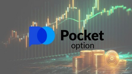 Pocket Option Contacts How to Reach Customer Support